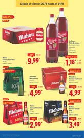 Folleto Lidl semana 34 Página 37
