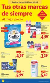 Folleto Lidl semana 34 Página 38