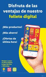 Folleto Lidl semana 34 Página 39