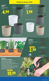 Folleto Lidl semana 34 Página 17