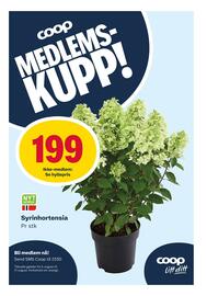 Matkroken Kundeavis uke 33 Side 8