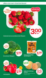 Spar folder Pagina 8