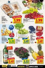 NP Discount Prospekt woche 33 Seite 2