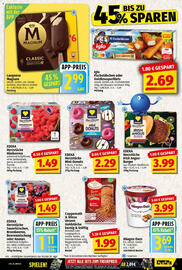 NP Discount Prospekt woche 33 Seite 5