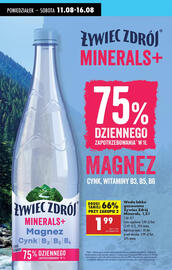 Biedronka gazetka tydzień 33 Strona 85