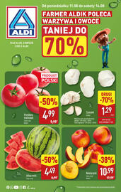 ALDI gazetka tydzień 33 Strona 1