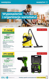 ERLI gazetka tydzień 33 Strona 13