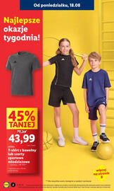 Lidl gazetka tydzień 34 Strona 2