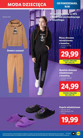 Lidl gazetka tydzień 34 Strona 21