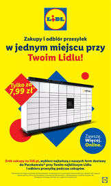 Lidl gazetka tydzień 34 Strona 51