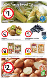Coles catalogue week 33 Page 17