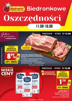Biedronka gazetka (ważność do 16-08)