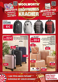 Woolworth Flugblatt woche 33 Seite 4