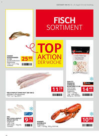 Transgourmet Flugblatt woche 34 Seite 14