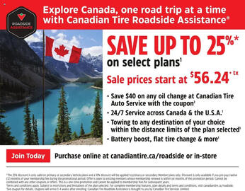 Canadian Tire flyer week 33 Page 17