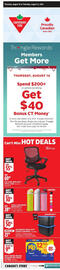 Canadian Tire flyer week 33 Page 3