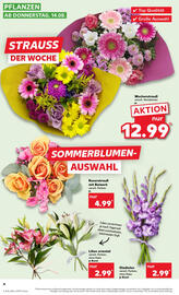 Kaufland DE folder week 33 Pagina 4