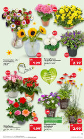 Kaufland DE folder week 33 Pagina 5