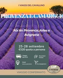 Volantino I Viaggi del Cavallino Pagina 2