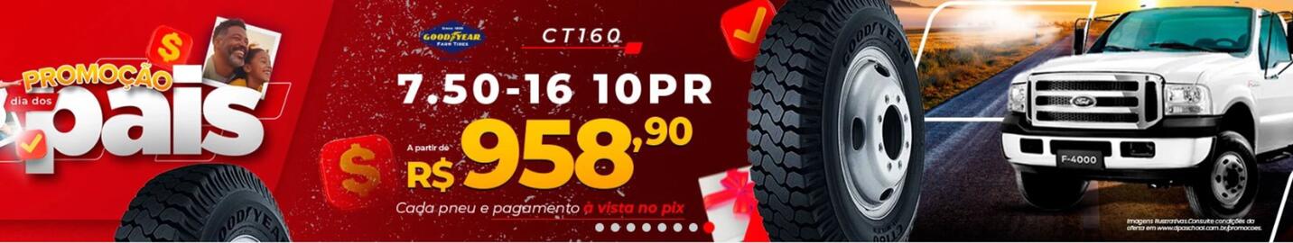 Catálogo DPaschoal Página 7