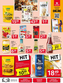 Selgros gazetka Strona 17