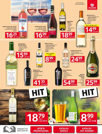Selgros gazetka Strona 31