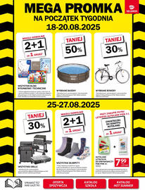 Selgros gazetka Strona 37