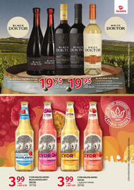 Selgros gazetka Strona 17