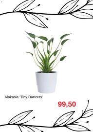 Blomsterlandet reklamblad Sida 3