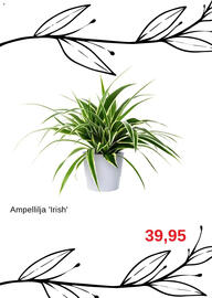 Blomsterlandet reklamblad Sida 4