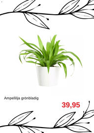 Blomsterlandet reklamblad Sida 5