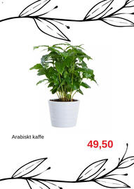 Blomsterlandet reklamblad Sida 6