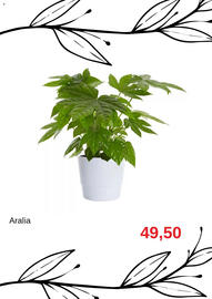 Blomsterlandet reklamblad Sida 7