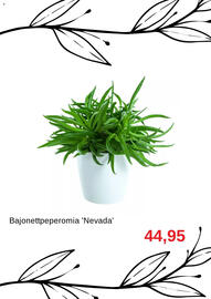 Blomsterlandet reklamblad Sida 8