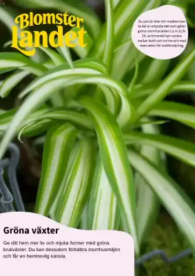 Blomsterlandet reklamblad (giltig till och med 31-08)