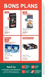Catalogue Tom&Co page 8