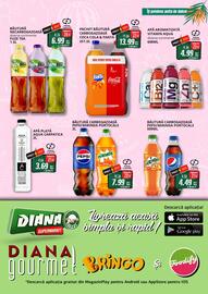 Catalog Diana Supermarket Pagină 11