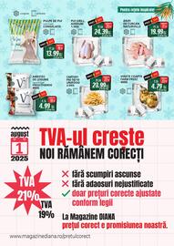 Catalog Diana Supermarket Pagină 5
