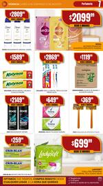 Catálogo Maxi Ofertas Página 7