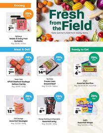 Blush Lane Organics flyer week 33 Page 4