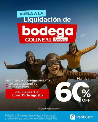 Catálogo Colineal