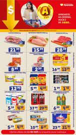 Catálogo Supermercados Avenida semana 33 Página 7