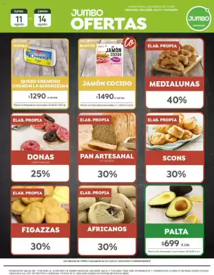 Catálogo Jumbo (válido hasta 15-08)