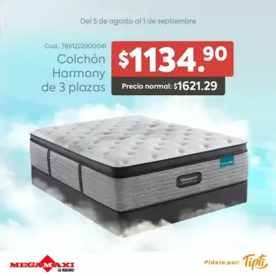 Catálogo Megamaxi (válido hasta 1-09)