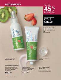 Catálogo Avon Página 253