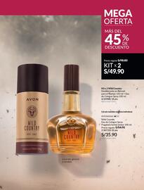 Catálogo Avon Página 87