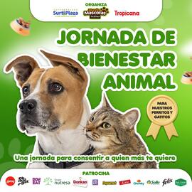 Catálogo Supermercados Surtiplaza semana 33 Página 1