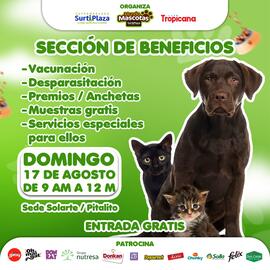 Catálogo Supermercados Surtiplaza semana 33 Página 2