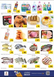 Nesto catalogue Page 2