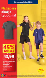 Lidl gazetka tydzień 34 Strona 2
